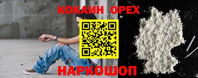 сатива Новокубанск