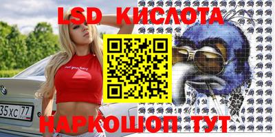 сатива Новокубанск
