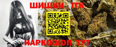 сатива Новокубанск