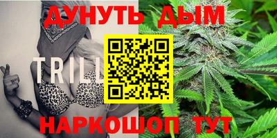 сатива Новокубанск