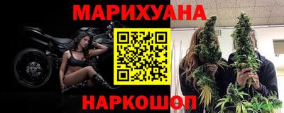 сатива Новокубанск