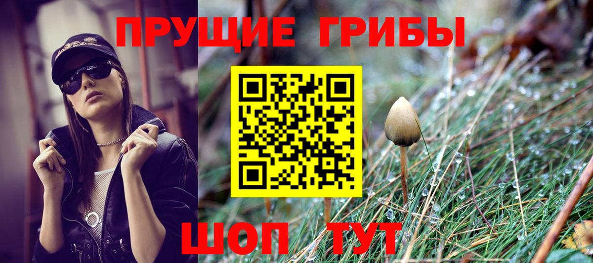 Псилоцибиновые грибы мицелий  Вход с VPN  Сухой Лог  Галлюциногенные грибы мицелий 